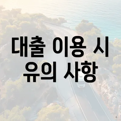 대출 이용 시 유의 사항
