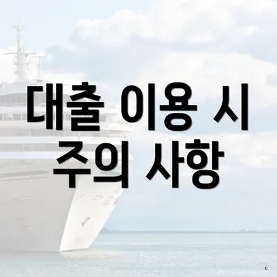 대출 이용 시 주의 사항