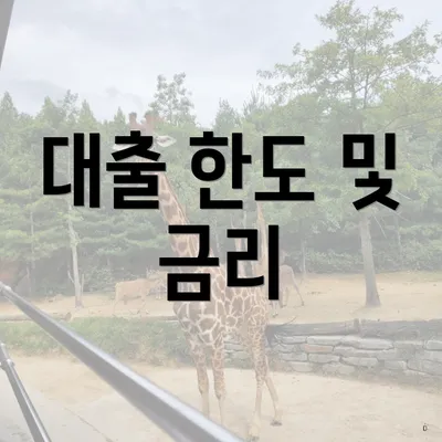 대출 한도 및 금리