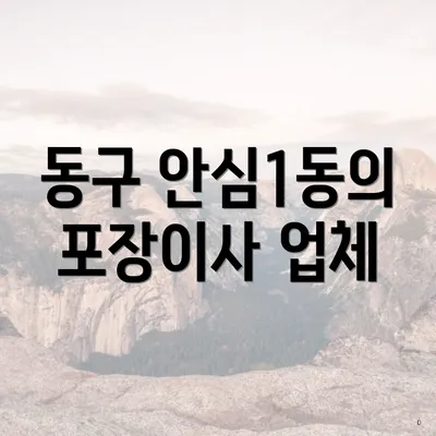 동구 안심1동의 포장이사 업체