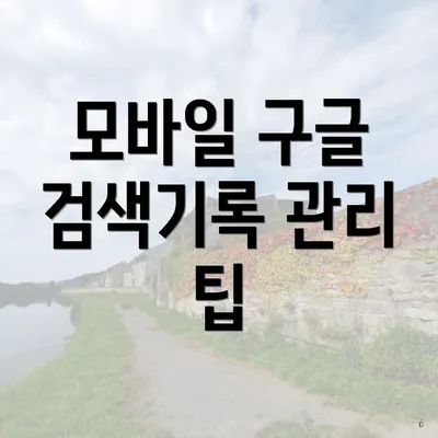 모바일 구글 검색기록 관리 팁