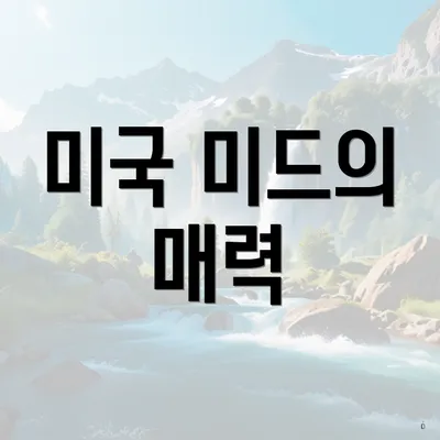 미국 미드의 매력