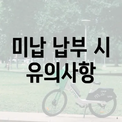 미납 납부 시 유의사항