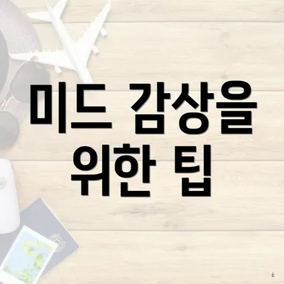 미드 감상을 위한 팁