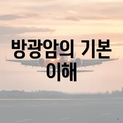방광암의 기본 이해