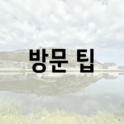 방문 팁