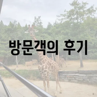 방문객의 후기