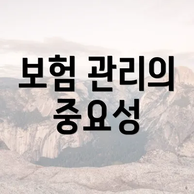 보험 관리의 중요성