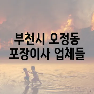 부천시 오정동 포장이사 업체들