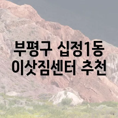 부평구 십정1동 이삿짐센터 추천