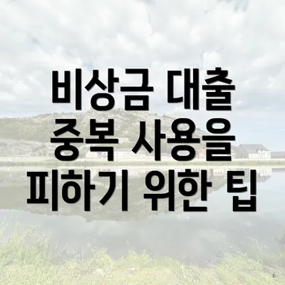 비상금 대출 중복 사용을 피하기 위한 팁
