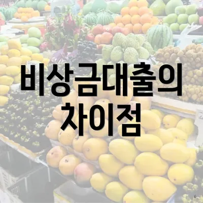 비상금대출의 차이점