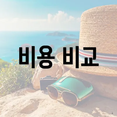 비용 비교