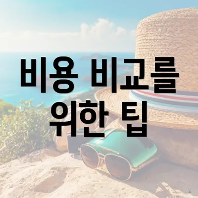 비용 비교를 위한 팁