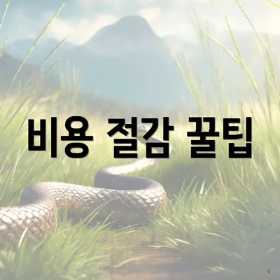 비용 절감 꿀팁