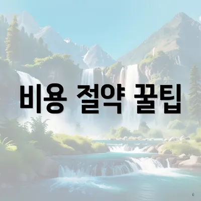 비용 절약 꿀팁