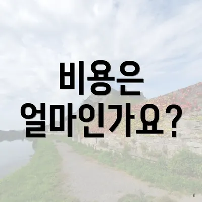 비용은 얼마인가요?