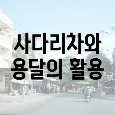 사다리차와 용달의 활용
