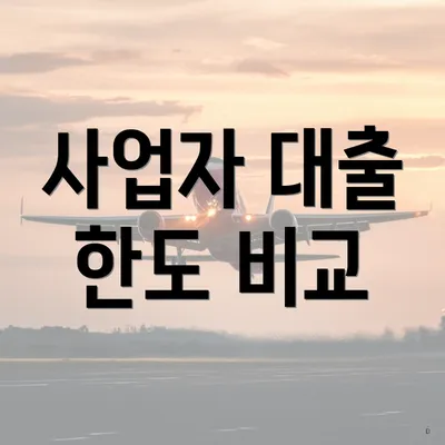 사업자 대출 한도 비교