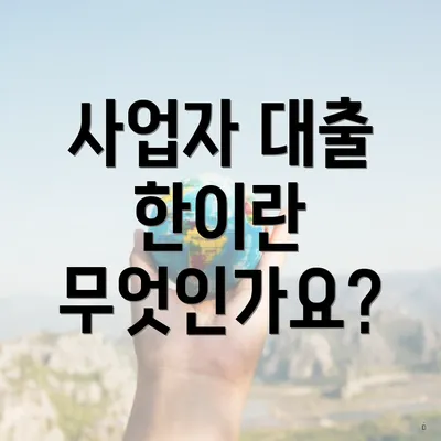 사업자 대출 한이란 무엇인가요?