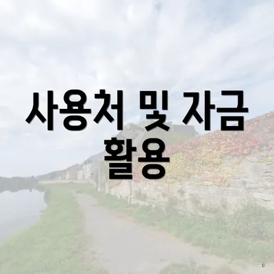 사용처 및 자금 활용