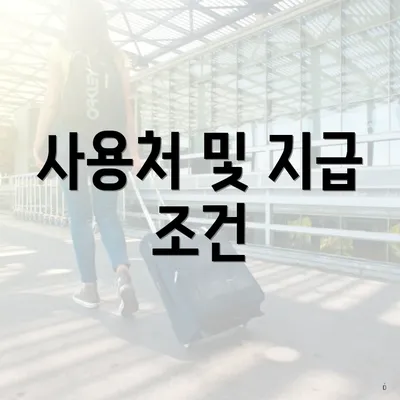 사용처 및 지급 조건