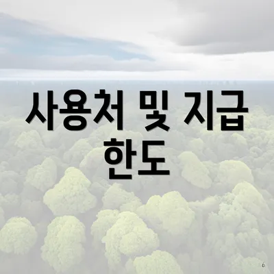 사용처 및 지급 한도