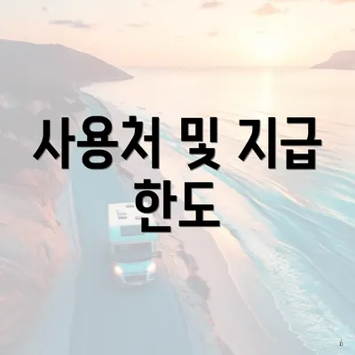 사용처 및 지급 한도