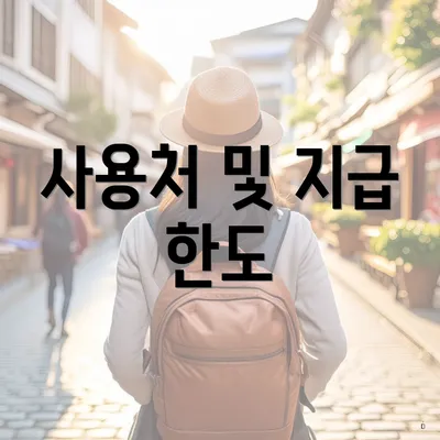 사용처 및 지급 한도