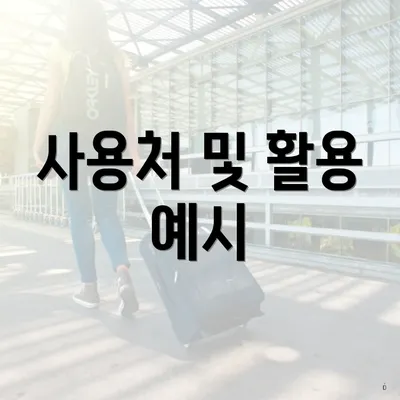 사용처 및 활용 예시