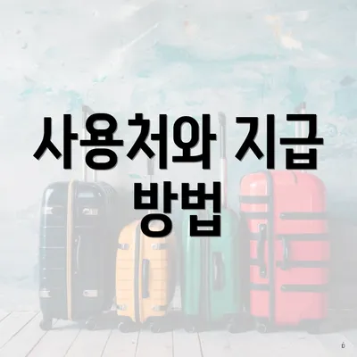사용처와 지급 방법