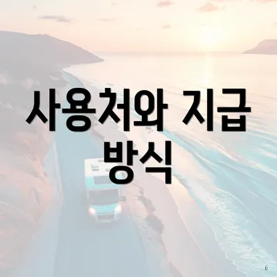 사용처와 지급 방식