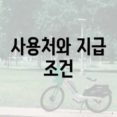 사용처와 지급 조건
