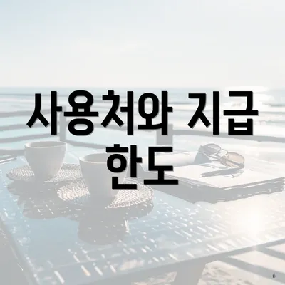 사용처와 지급 한도