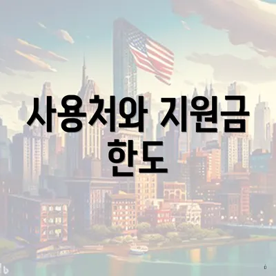 사용처와 지원금 한도