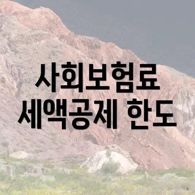 사회보험료 세액공제 한도