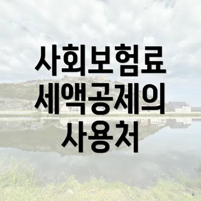 사회보험료 세액공제의 사용처