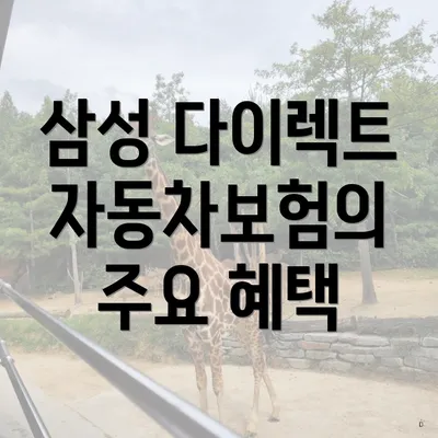 삼성 다이렉트 자동차보험의 주요 혜택