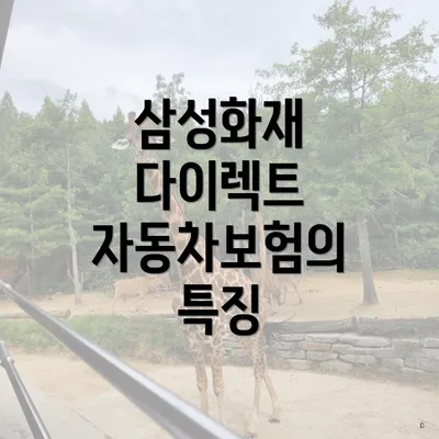 삼성화재 다이렉트 자동차보험의 다양한 옵션
