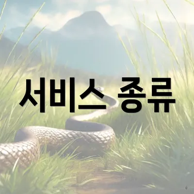 서비스 종류