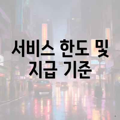 서비스 한도 및 지급 기준