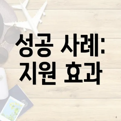 성공 사례: 지원 효과