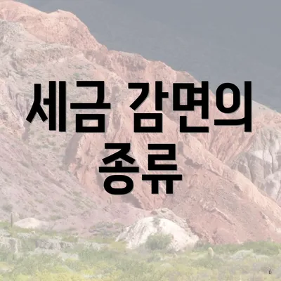 세금 감면의 종류