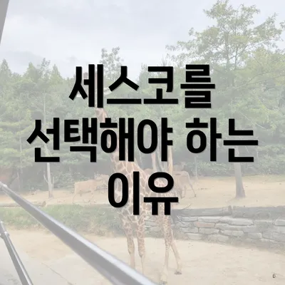 세스코를 선택해야 하는 이유
