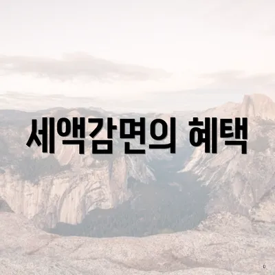세액감면의 혜택