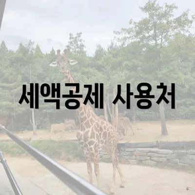 세액공제 사용처