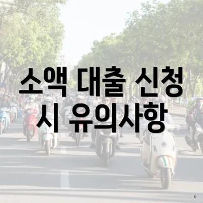 소액 대출 신청 시 유의사항