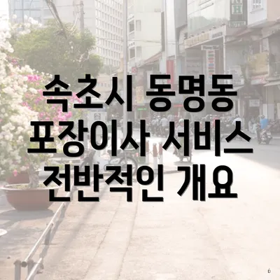 속초시 동명동 포장이사 서비스 전반적인 개요