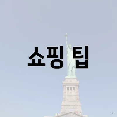 쇼핑 팁