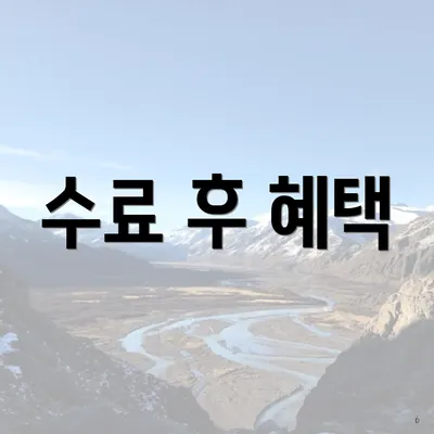 수료 후 혜택